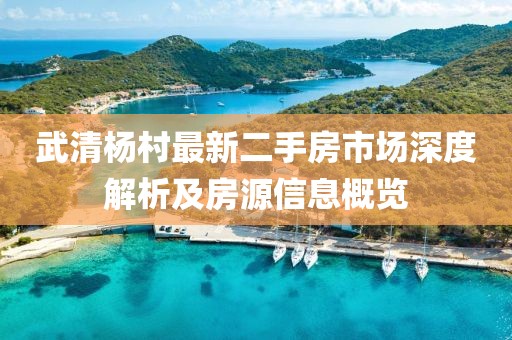 武清楊村最新二手房市場(chǎng)深度解析及房源信息概覽