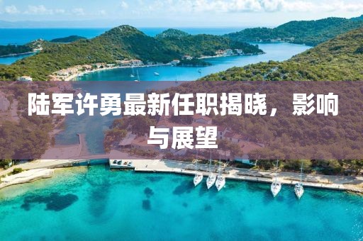 陸軍許勇最新任職揭曉，影響與展望