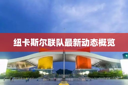 紐卡斯?fàn)柭?lián)隊(duì)最新動(dòng)態(tài)概覽