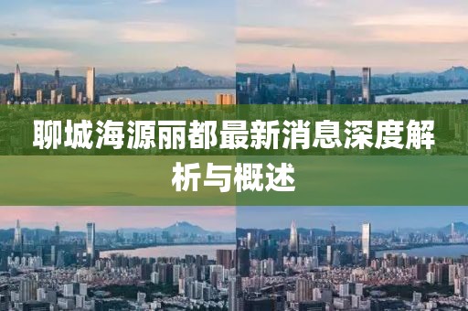 聊城海源麗都最新消息深度解析與概述