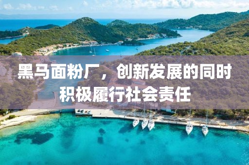 黑馬面粉廠，創(chuàng)新發(fā)展的同時積極履行社會責(zé)任