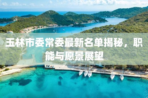 玉林市委常委最新名單揭秘，職能與愿景展望