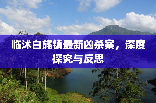 臨沭白旄鎮(zhèn)最新兇殺案，深度探究與反思