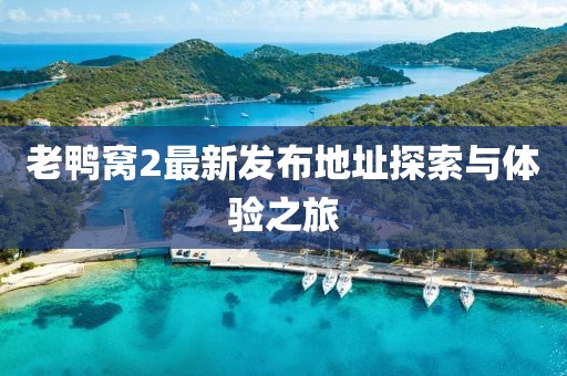 2024年12月 第11頁