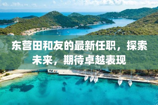 東營(yíng)田和友的最新任職，探索未來(lái)，期待卓越表現(xiàn)