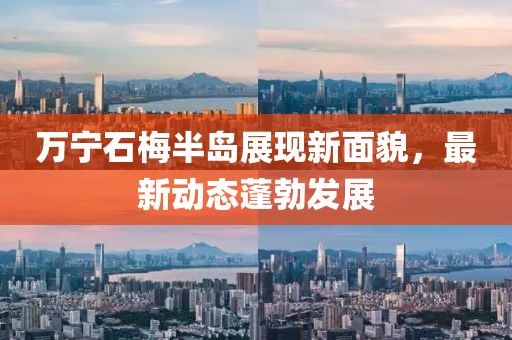 萬(wàn)寧石梅半島展現(xiàn)新面貌，最新動(dòng)態(tài)蓬勃發(fā)展