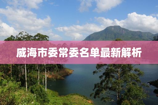 威海市委常委名單最新解析