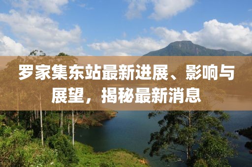 羅家集東站最新進展、影響與展望，揭秘最新消息