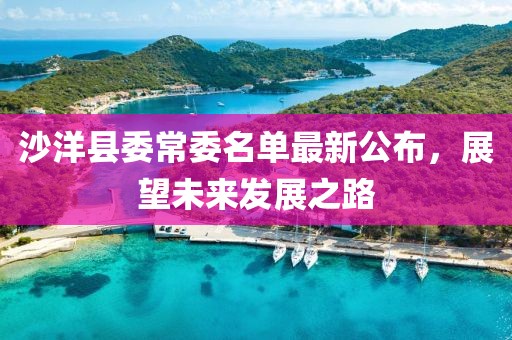 沙洋縣委常委名單最新公布，展望未來(lái)發(fā)展之路