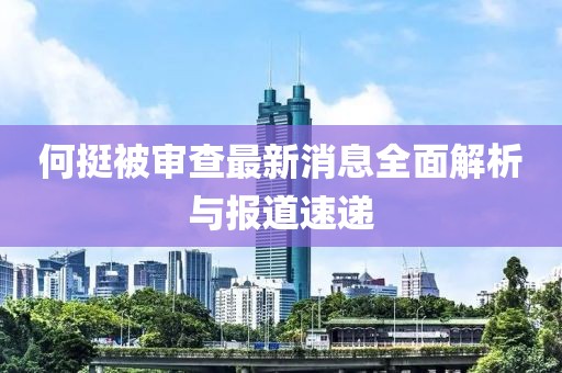 何挺被審查最新消息全面解析與報(bào)道速遞