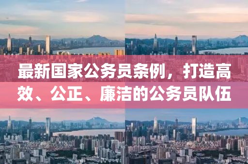 最新國家公務(wù)員條例，打造高效、公正、廉潔的公務(wù)員隊伍