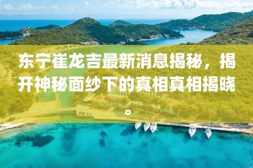 東寧崔龍吉最新消息揭秘，揭開(kāi)神秘面紗下的真相真相揭曉。