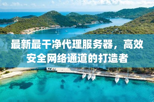 最新最干凈代理服務(wù)器，高效安全網(wǎng)絡(luò)通道的打造者