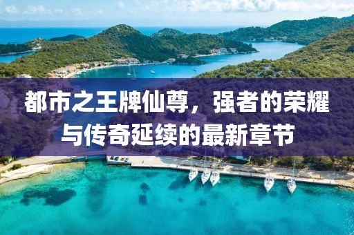 都市之王牌仙尊，強(qiáng)者的榮耀與傳奇延續(xù)的最新章節(jié)