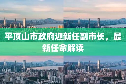 平頂山市政府迎新任副市長，最新任命解讀