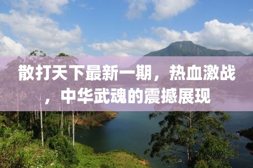 散打天下最新一期，熱血激戰(zhàn)，中華武魂的震撼展現(xiàn)