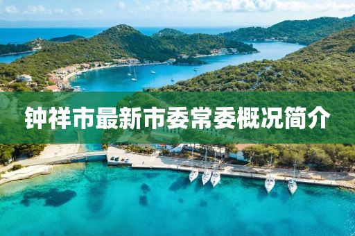 鐘祥市最新市委常委概況簡介