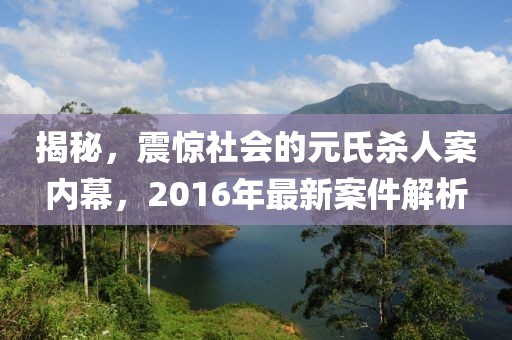 揭秘，震驚社會的元氏殺人案內(nèi)幕，2016年最新案件解析