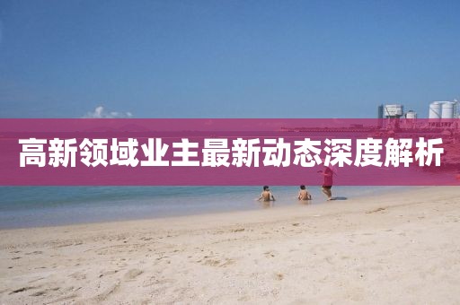 高新領(lǐng)域業(yè)主最新動態(tài)深度解析