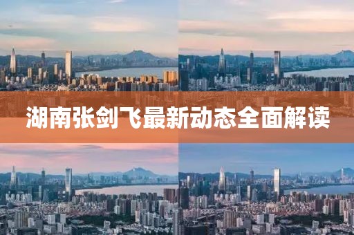 湖南張劍飛最新動(dòng)態(tài)全面解讀