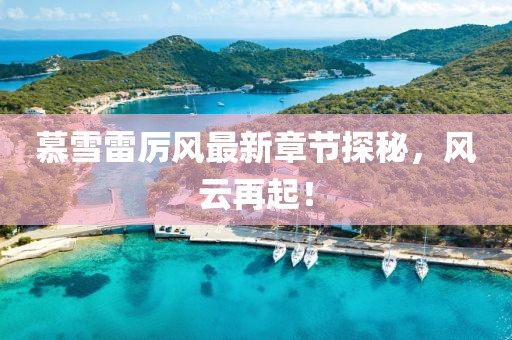 慕雪雷厲風(fēng)最新章節(jié)探秘，風(fēng)云再起！