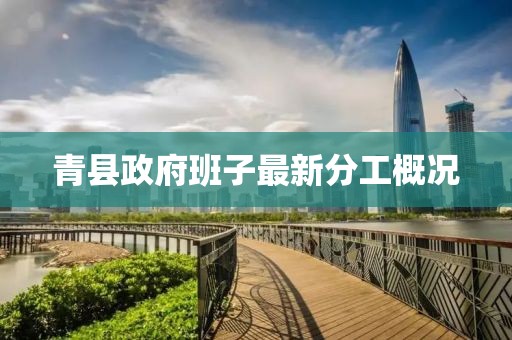 初告白 第15頁