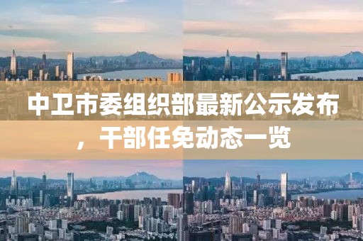 中衛(wèi)市委組織部最新公示發(fā)布，干部任免動(dòng)態(tài)一覽