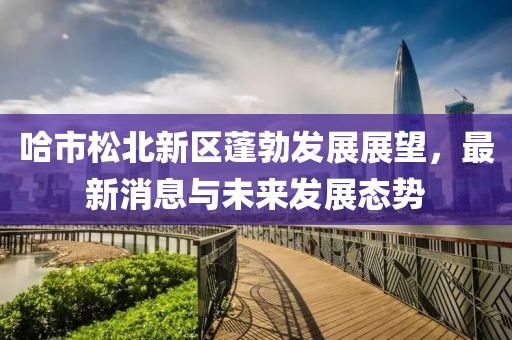 哈市松北新區(qū)蓬勃發(fā)展展望，最新消息與未來發(fā)展態(tài)勢