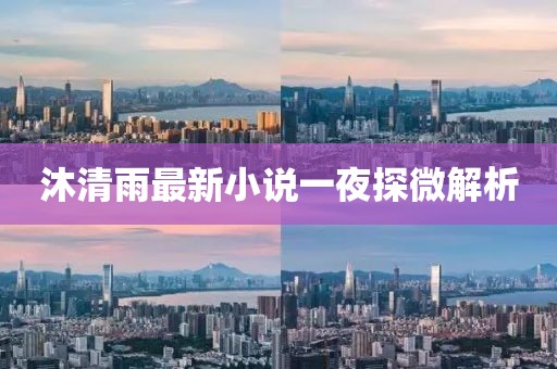 沐清雨最新小說一夜探微解析