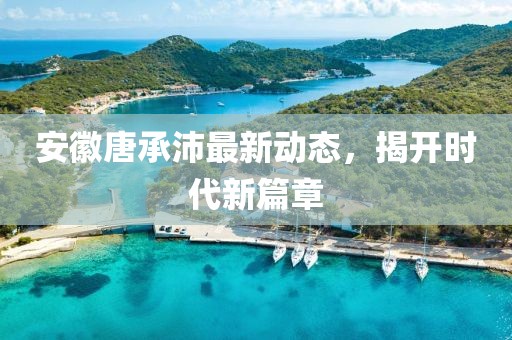 安徽唐承沛最新動態(tài)，揭開時代新篇章