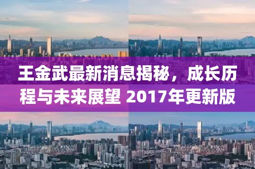 王金武最新消息揭秘，成長(zhǎng)歷程與未來(lái)展望 2017年更新版