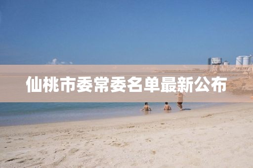 仙桃市委常委名單最新公布