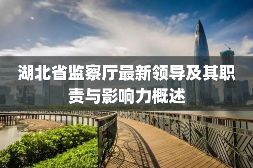 湖北省監(jiān)察廳最新領(lǐng)導(dǎo)及其職責(zé)與影響力概述