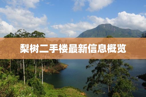 梨樹二手樓最新信息概覽