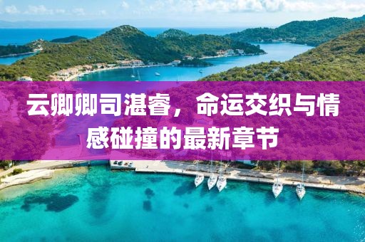 云卿卿司湛睿，命運(yùn)交織與情感碰撞的最新章節(jié)