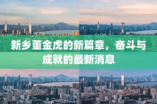 新鄉(xiāng)董金虎的新篇章，奮斗與成就的最新消息