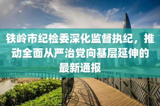 鐵嶺市紀檢委深化監(jiān)督執(zhí)紀，推動全面從嚴治黨向基層延伸的最新通報
