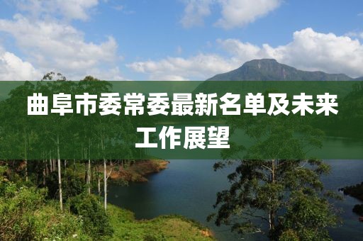 曲阜市委常委最新名單及未來工作展望