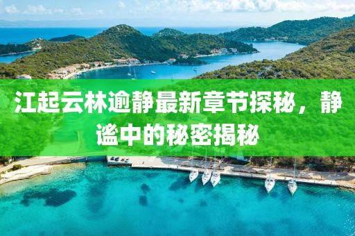 江起云林逾靜最新章節(jié)探秘，靜謐中的秘密揭秘