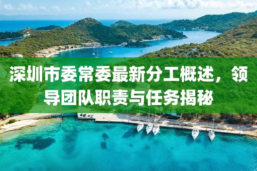 深圳市委常委最新分工概述，領(lǐng)導(dǎo)團(tuán)隊(duì)職責(zé)與任務(wù)揭秘