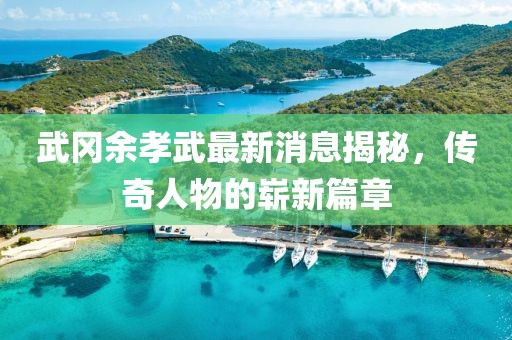 武岡余孝武最新消息揭秘，傳奇人物的嶄新篇章