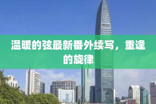 溫暖的弦最新番外續(xù)寫，重逢的旋律