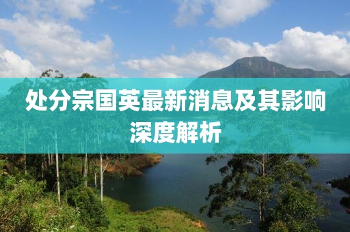 處分宗國(guó)英最新消息及其影響深度解析