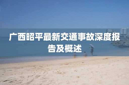 廣西昭平最新交通事故深度報告及概述