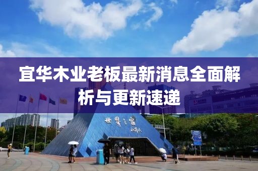 宜華木業(yè)老板最新消息全面解析與更新速遞