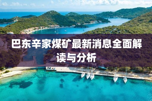 巴東辛家煤礦最新消息全面解讀與分析
