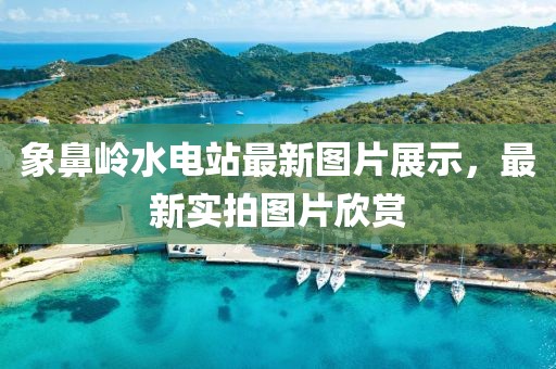 象鼻嶺水電站最新圖片展示，最新實拍圖片欣賞