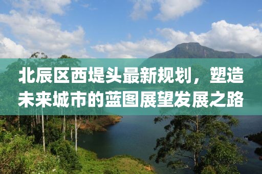 北辰區(qū)西堤頭最新規(guī)劃，塑造未來城市的藍圖展望發(fā)展之路