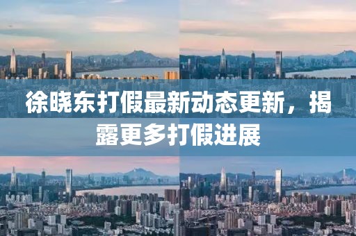 徐曉東打假最新動(dòng)態(tài)更新，揭露更多打假進(jìn)展