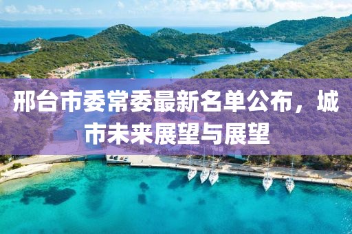 邢臺(tái)市委常委最新名單公布，城市未來(lái)展望與展望